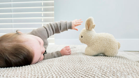 Recycled Rabbit knuffel