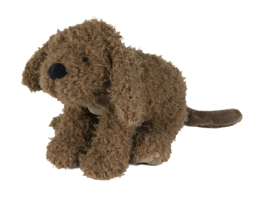 Labradoodle Larry no.1