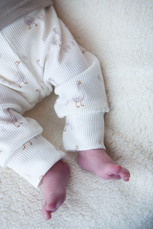 Broekje baby rib gansjes