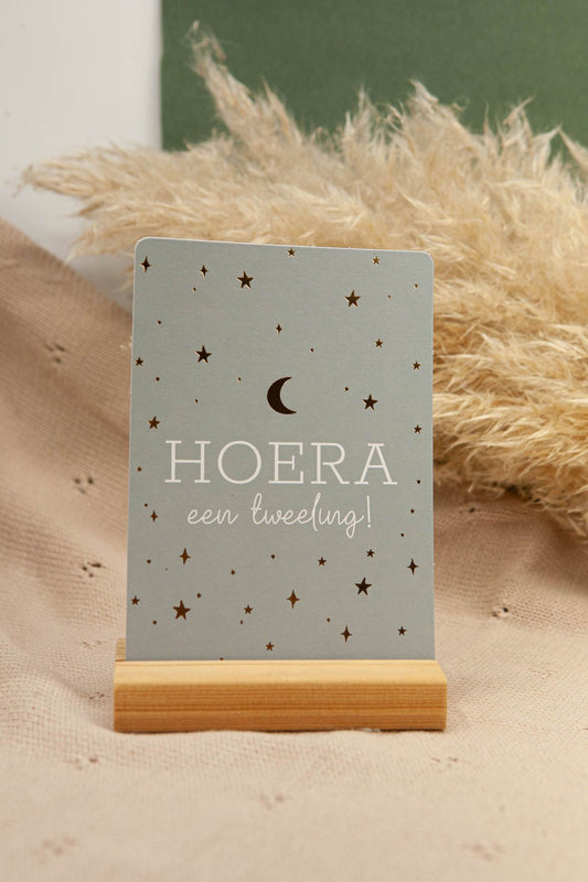 Kaartje Hoera een tweeling!