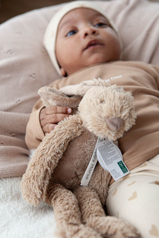 Tiny Rabbit Richie (diverse kleuren)