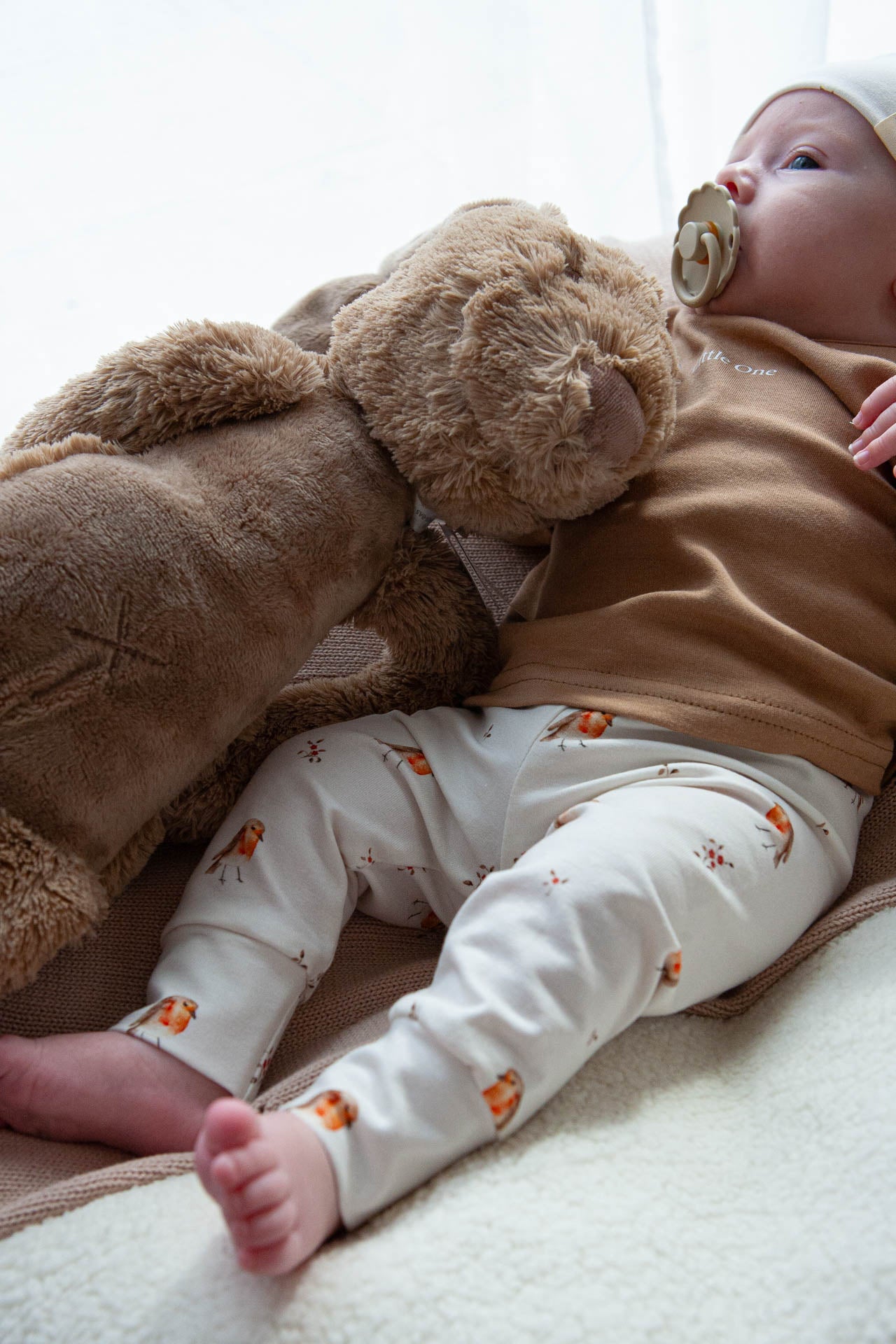 Aanbieding set roodborstjes