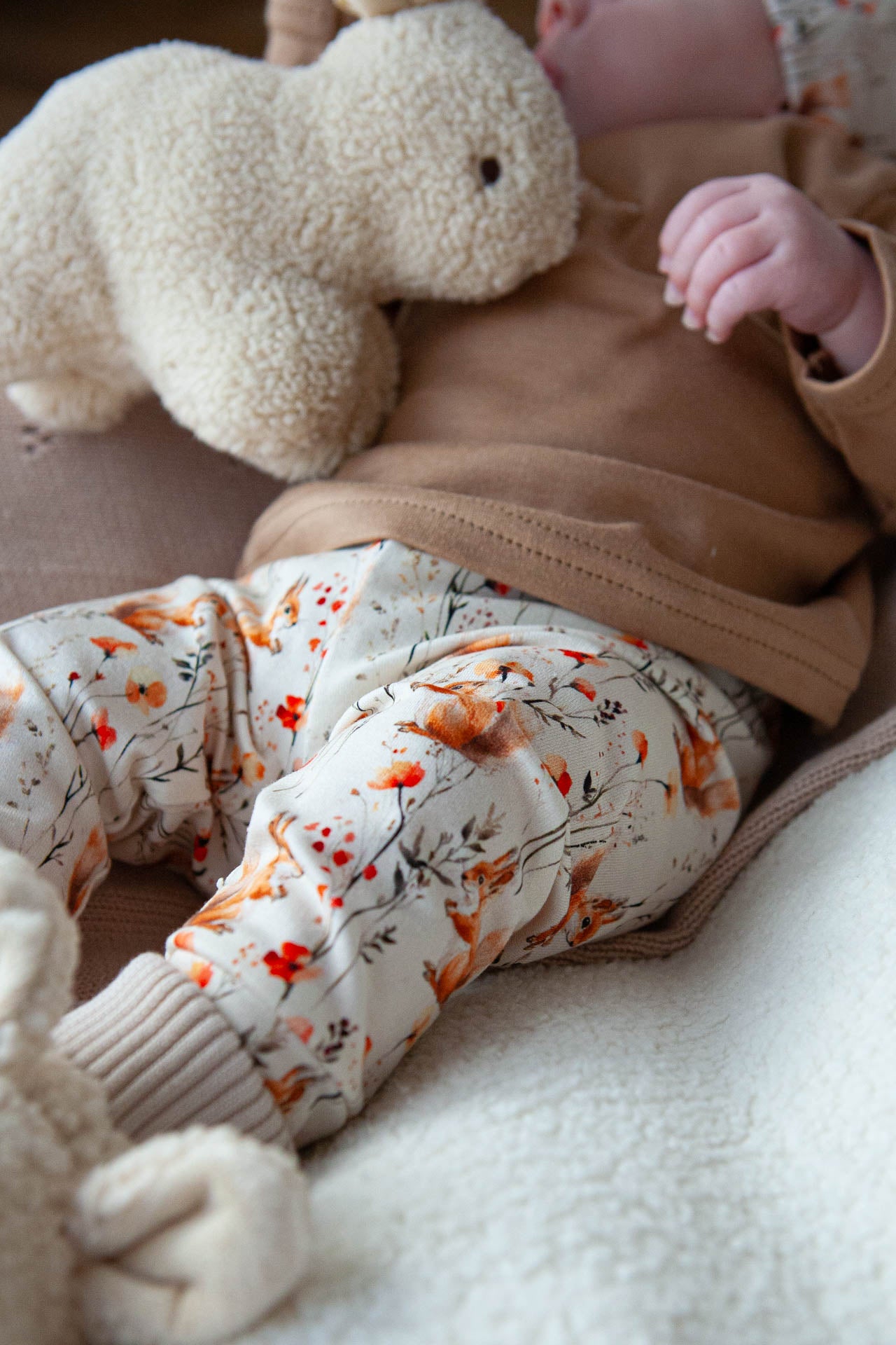 Aanbieding set eekhoorntjes