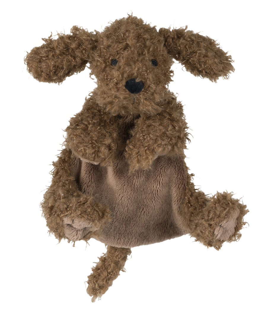 Labradoodle Larry tuttle