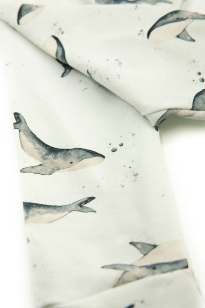 Broekje Whales