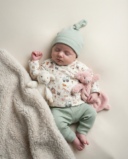 Lamb Leo no.1